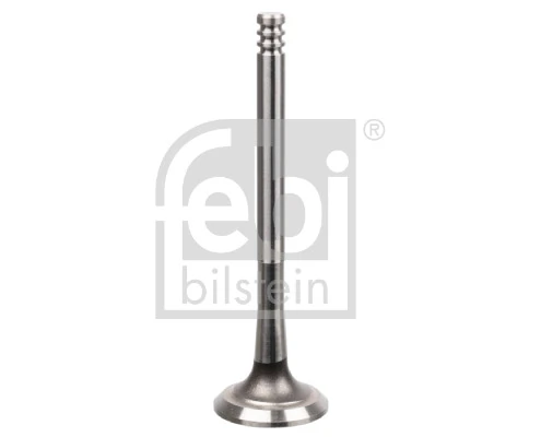 Intake Valve